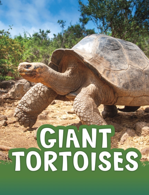 Giant Tortoises, EPUB eBook