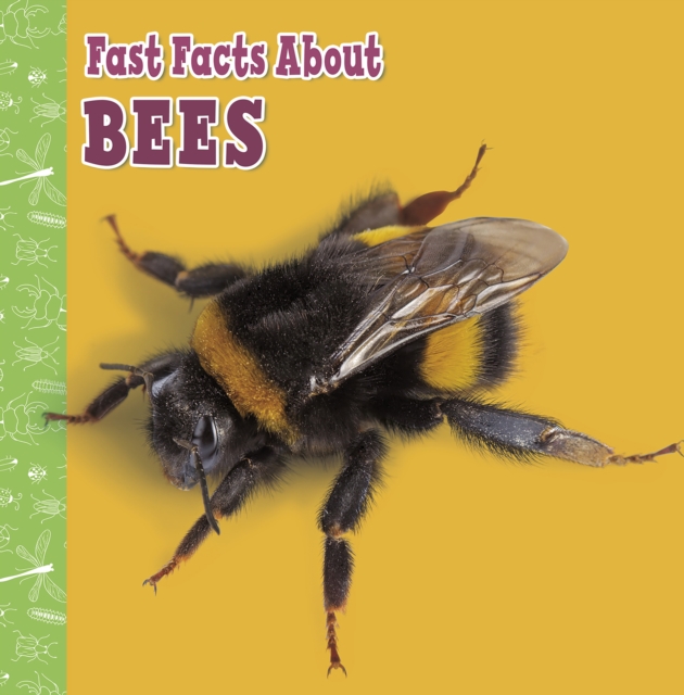 Fast Facts About Bees, EPUB eBook