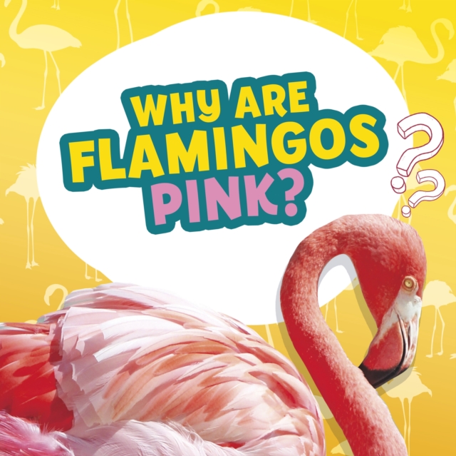 Why Are Flamingos Pink?, EPUB eBook