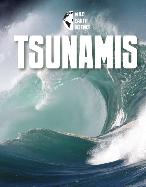 Tsunamis, Paperback / softback Book