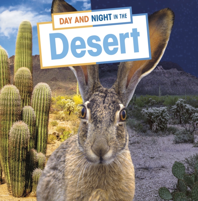 Day and Night in the Desert, Hardback Book