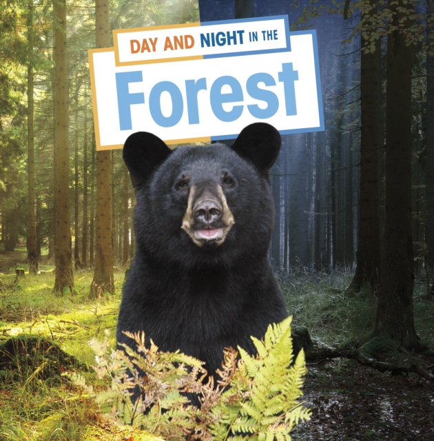 Day and Night in the Forest, Hardback Book