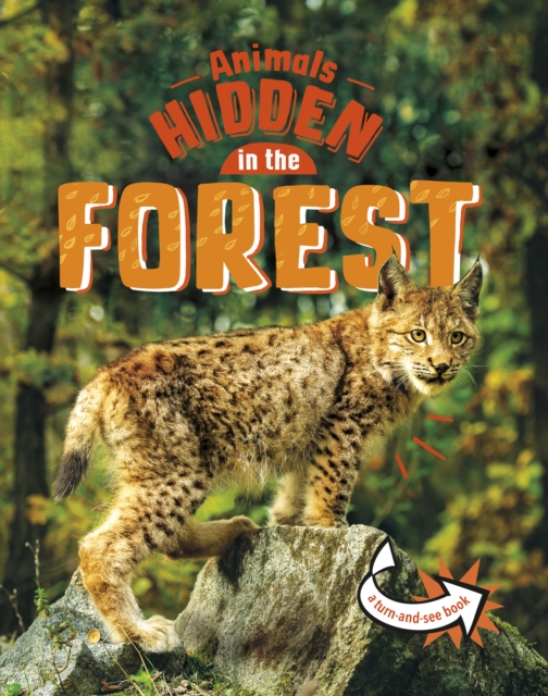 Animals Hidden in the Forest, Paperback / softback Book