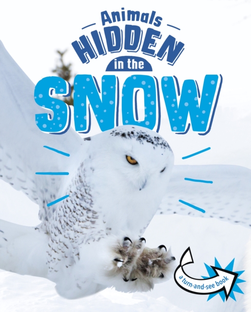 Animals Hidden in the Snow, Hardback Book