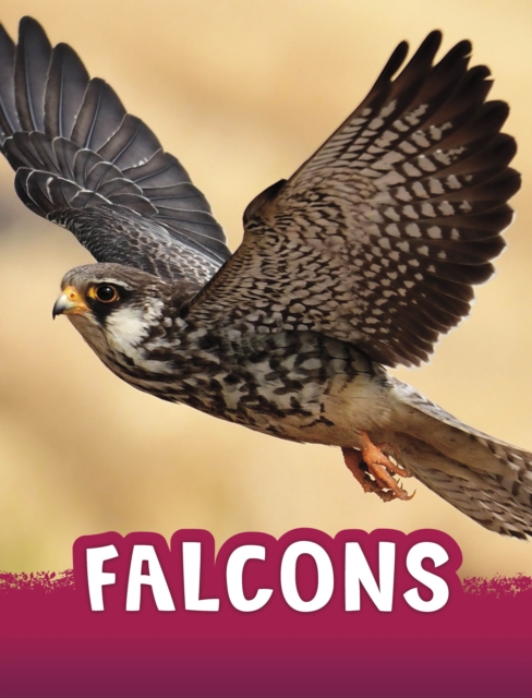 Falcons, Paperback / softback Book