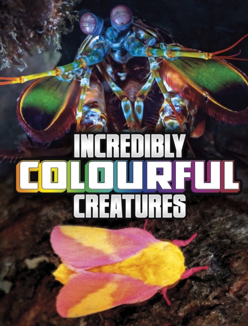 Incredibly Colourful Creatures, Hardback Book