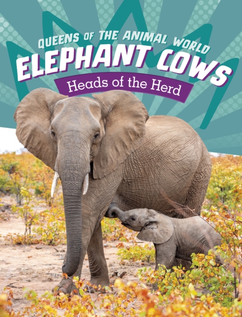 Elephant Cows : Heads of the Herd, Paperback / softback Book