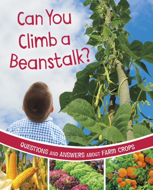 Can You Climb a Beanstalk? : Questions and Answers About Farm Crops, Hardback Book