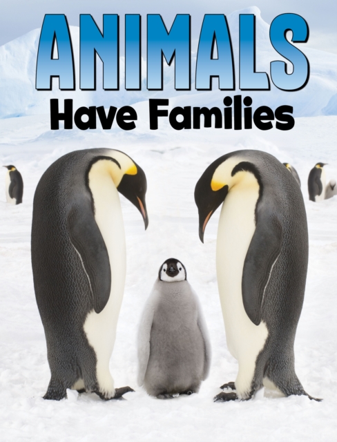 Animals Have Families, Paperback / softback Book