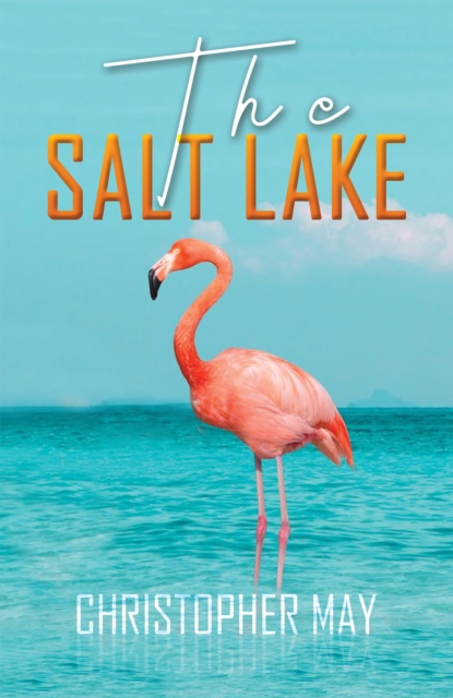 The Salt Lake, Paperback / softback Book