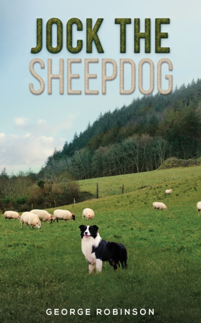 Jock the Sheepdog, Paperback / softback Book