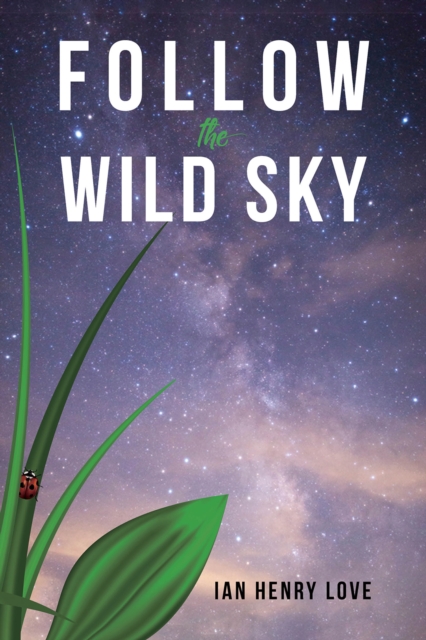 Follow The Wild Sky, Paperback / softback Book