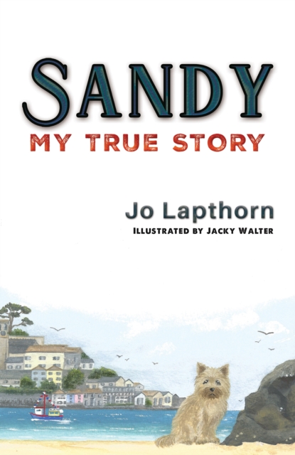 Sandy : My True Story, Paperback / softback Book