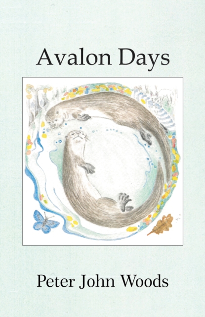 Avalon Days, Hardback Book