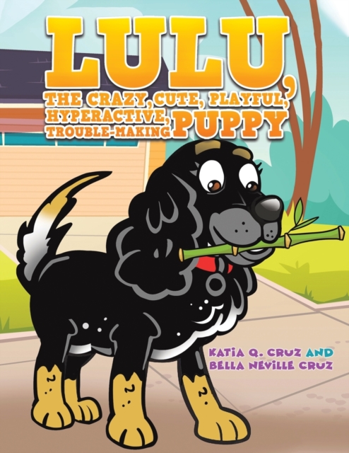 Lulu, the crazy, cute, playful, hyperactive, trouble-making puppy, Paperback / softback Book