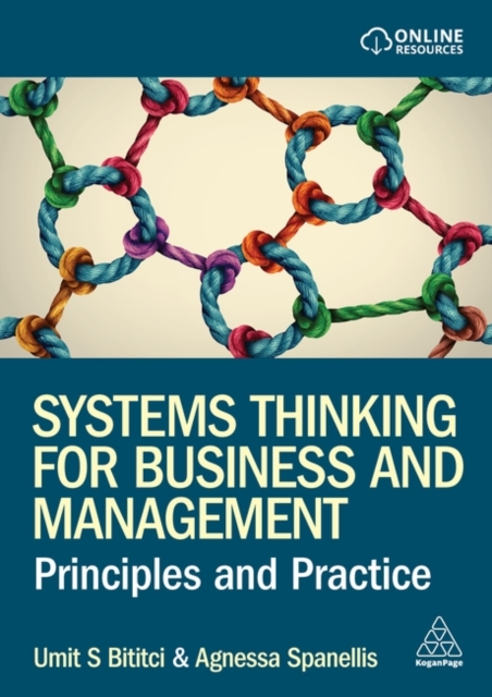 Systems Thinking for Business and Management : Principles and Practice, Hardback Book