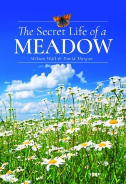 The Secret Life of a Meadow, Hardback Book