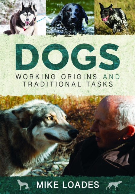 Dogs: Working Origins and Traditional Tasks, Paperback / softback Book