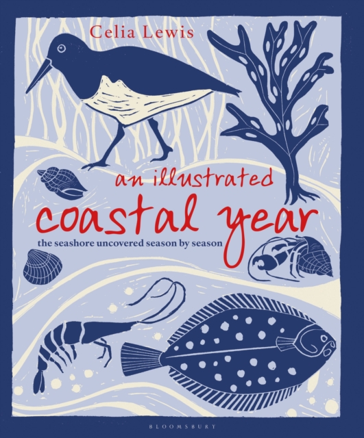 An Illustrated Coastal Year : The seashore uncovered season by season, Hardback Book