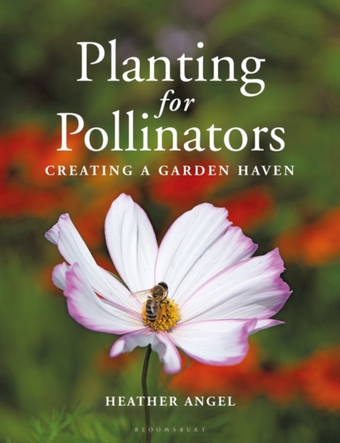 Planting for Pollinators : Creating a Garden Haven, Paperback / softback Book