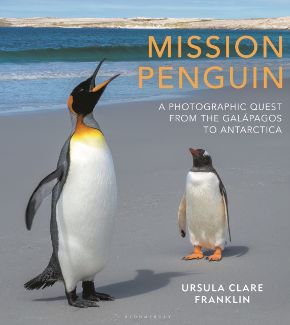 Mission Penguin : A photographic quest from the Galapagos to Antarctica, Hardback Book