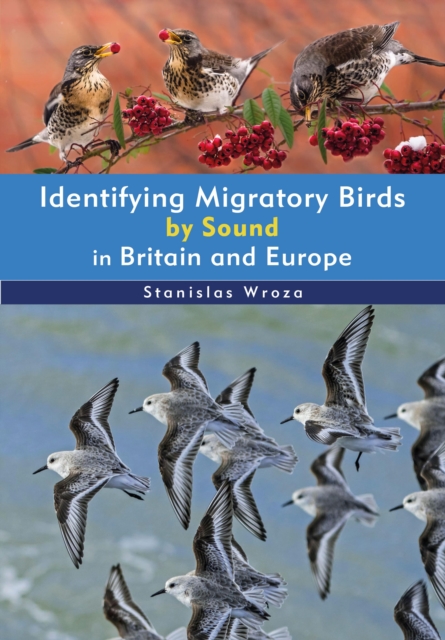 Identifying Migratory Birds by Sound in Britain and Europe, Paperback / softback Book