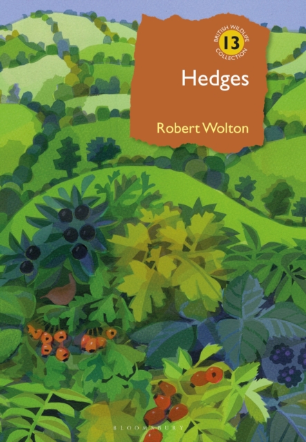 Hedges, EPUB eBook