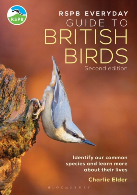 The RSPB Everyday Guide to British Birds : Identify our common species and learn more about their lives, Paperback / softback Book