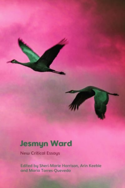 Jesmyn Ward : New Critical Essays, Hardback Book