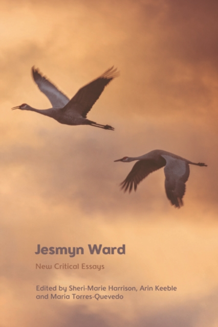 Jesmyn Ward : New Critical Essays, PDF eBook