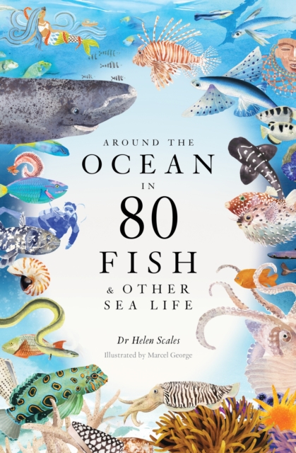 Around the Ocean in 80 Fish and other Sea Life, Hardback Book