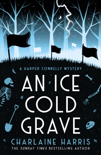 An Ice Cold Grave, Paperback / softback Book