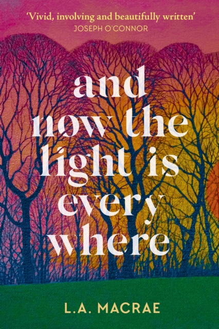 And Now the Light is Everywhere : A stunning debut novel of family secrets and redemption, Hardback Book