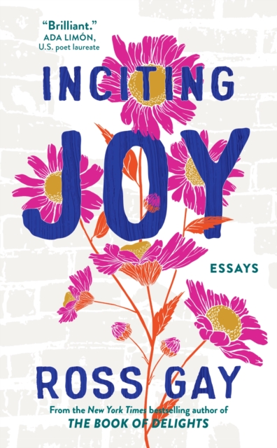 Inciting Joy : Essays, EPUB eBook