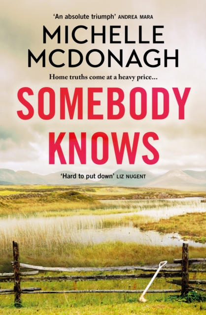 Somebody Knows : A gripping, addictive page-turner about dangerous secrets and the lengths people will go to keep them, EPUB eBook