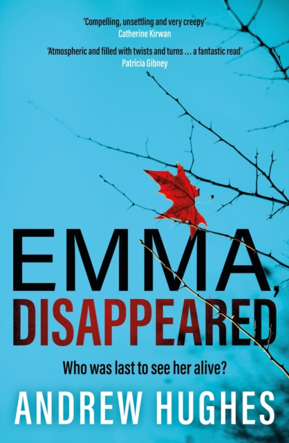 Emma, Disappeared : A gripping, twist-filled thriller where nothing is as it seems, Paperback / softback Book