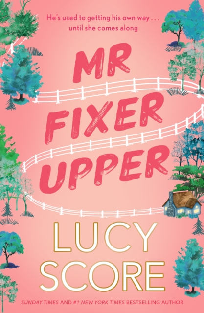 Mr Fixer Upper : the new romance from the bestselling Tiktok sensation!, Paperback / softback Book