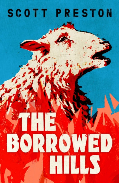 The Borrowed Hills : 'A sucker-punch of a novel' Guardian, Hardback Book