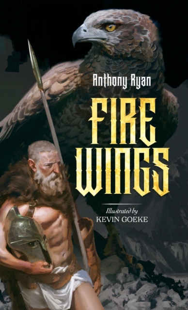 Fire Wings, Hardback Book
