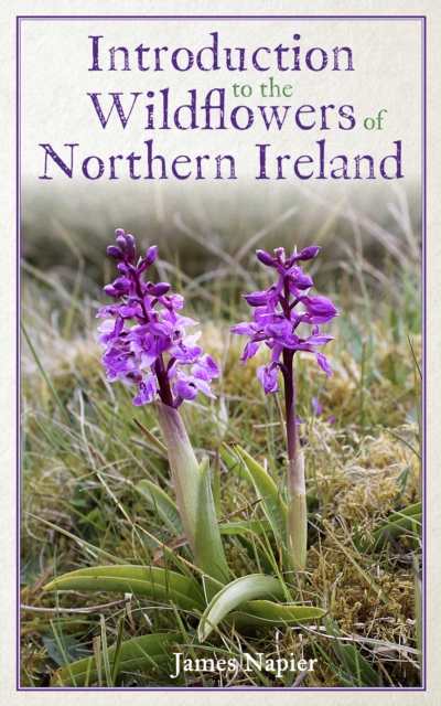 Introduction to the Wildflowers of Northern Ireland, Paperback / softback Book