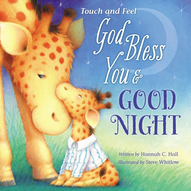 God Bless You and Good Night Touch and Feel, Board book Book