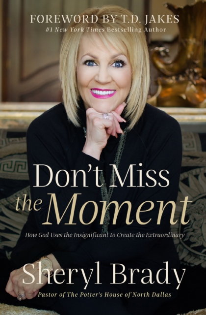 Don't Miss the Moment : How God Uses the Insignificant to Create the Extraordinary, Paperback / softback Book