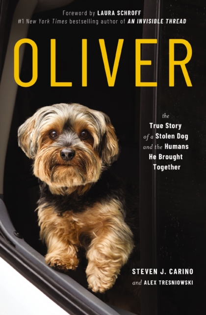 Oliver : The True Story of a Stolen Dog and the Humans He Brought Together, Paperback / softback Book