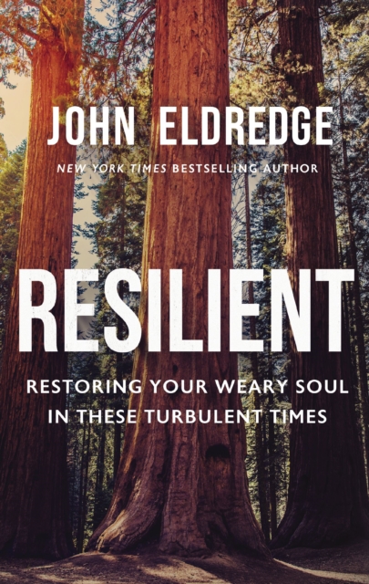 Resilient : Restoring Your Weary Soul in These Turbulent Times, Paperback / softback Book