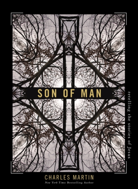 Son of Man : Retelling the Stories of Jesus, Paperback / softback Book