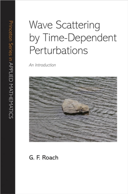 Wave Scattering by Time-Dependent Perturbations : An Introduction, PDF eBook