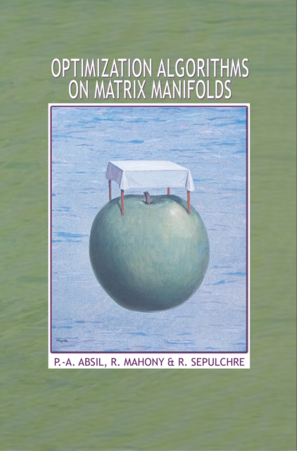 Optimization Algorithms on Matrix Manifolds, PDF eBook
