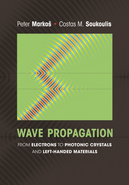 Wave Propagation : From Electrons to Photonic Crystals and Left-Handed Materials, PDF eBook