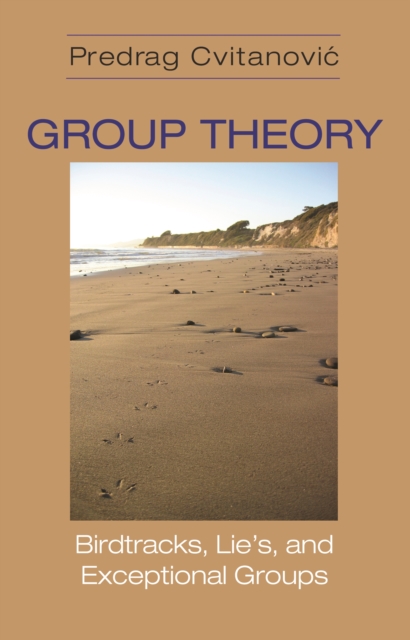 Group Theory : Birdtracks, Lie's, and Exceptional Groups, PDF eBook