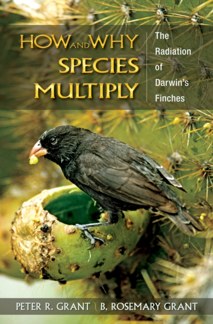 How and Why Species Multiply : The Radiation of Darwin's Finches, PDF eBook